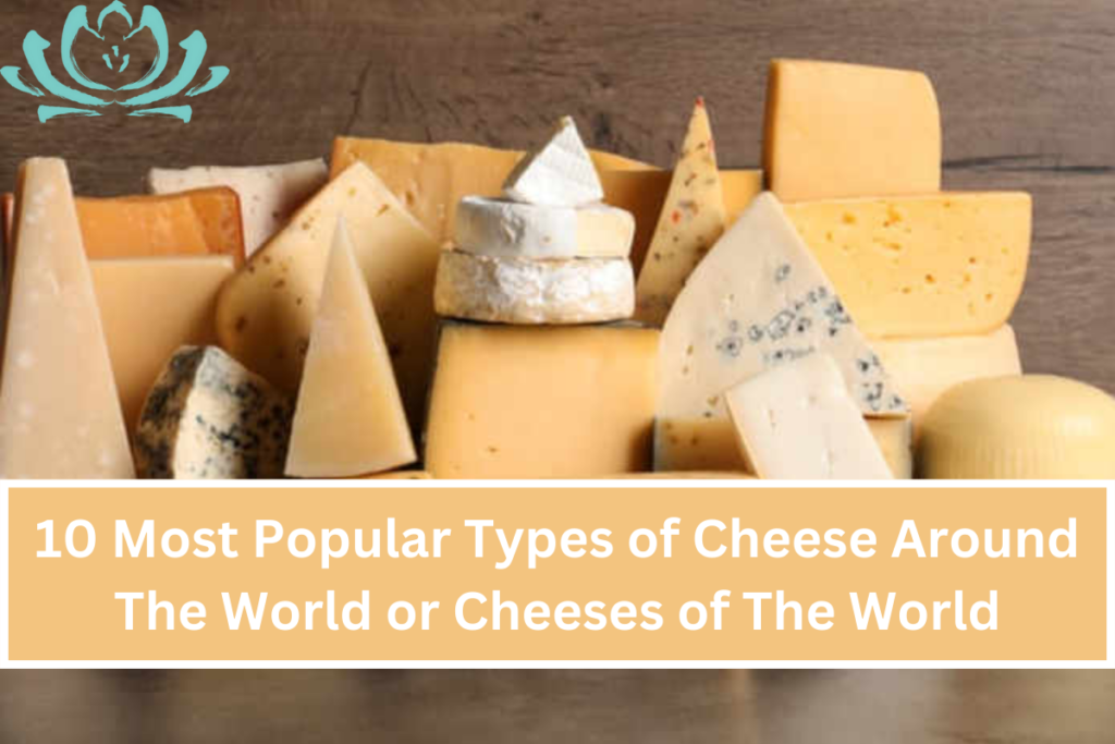 10 Most Popular Types Of Cheese Around The World Or Cheeses Of The World Ser Enity Massage 1327