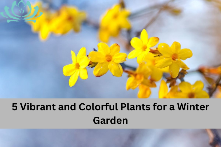 5 Vibrant and Colorful Plants for a Winter Garden