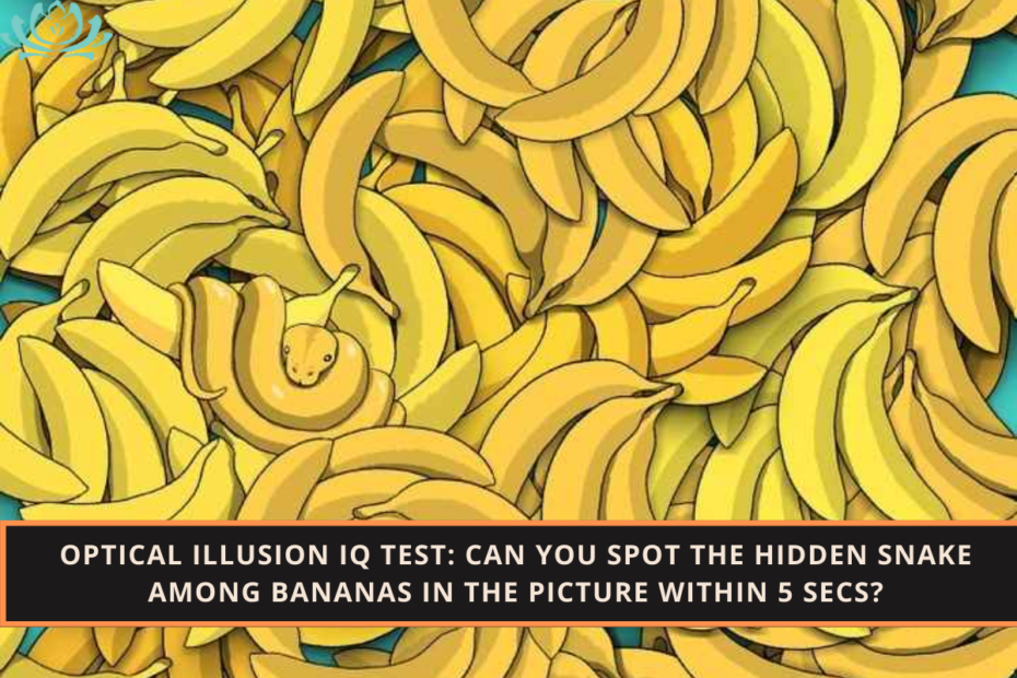 Optical Illusion IQ Test Can You Spot The Hidden Snake Among Bananas In The Picture Within 5 Secs