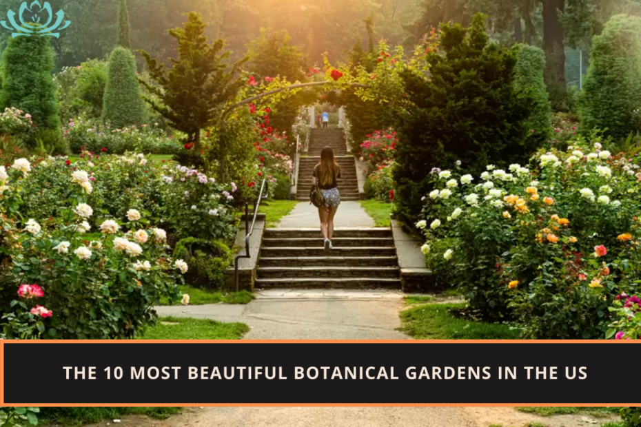 The 10 Most Beautiful Botanical Gardens in the US